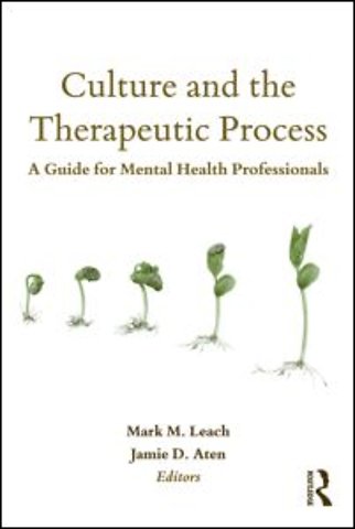 Culture and the Therapeutic Process