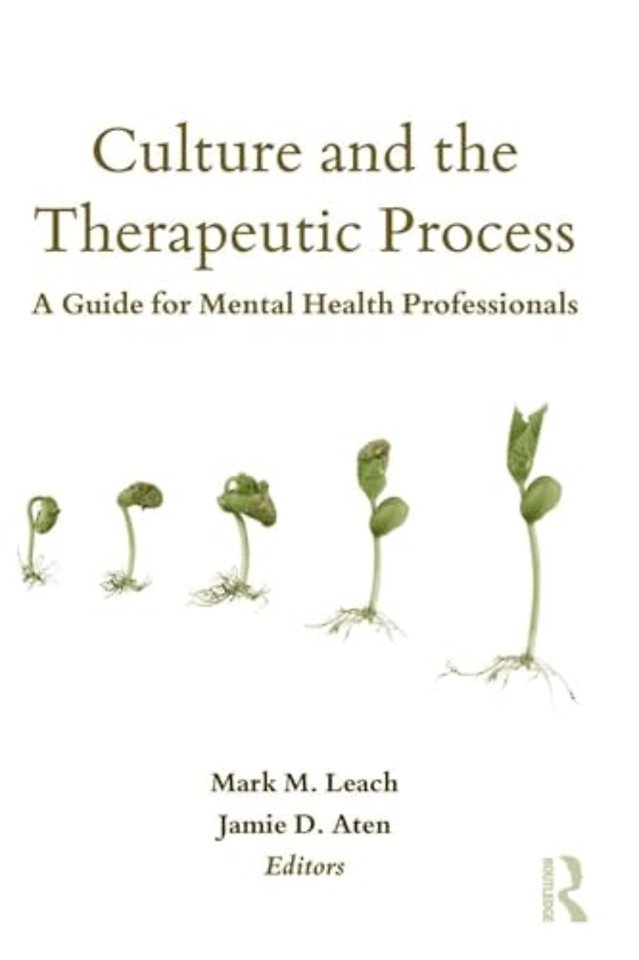 Culture and the Therapeutic Process