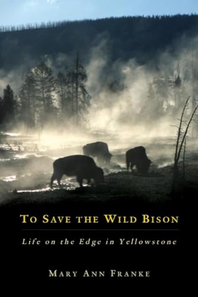 To Save the Wild Bison – Life on the Edge in Yellowstone