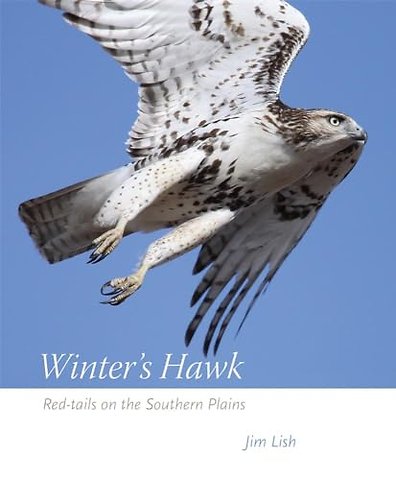 Winter`s Hawk – Red–tails on the Southern Plains
