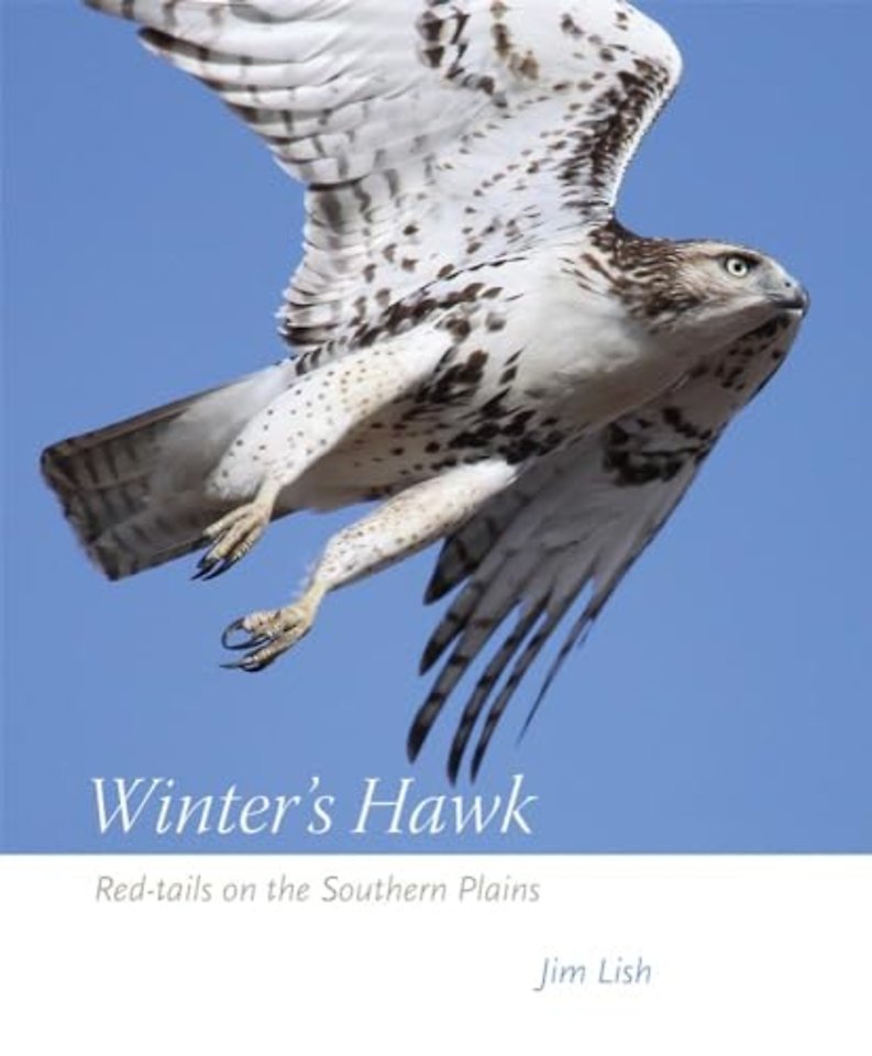 Winter`s Hawk – Red–tails on the Southern Plains