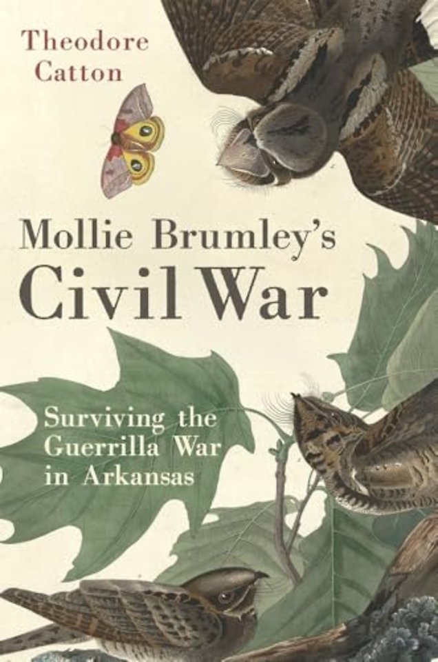 Mollie Brumley`s Civil War – Surviving the Guerrilla War in Arkansas