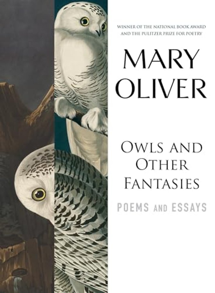 Owls and Other Fantasies