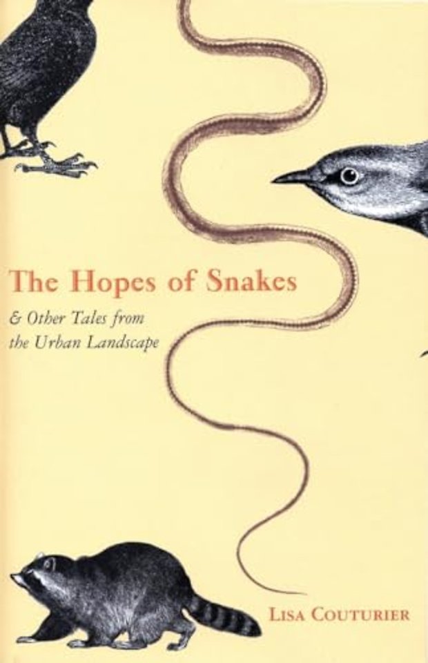 The Hopes of Snakes