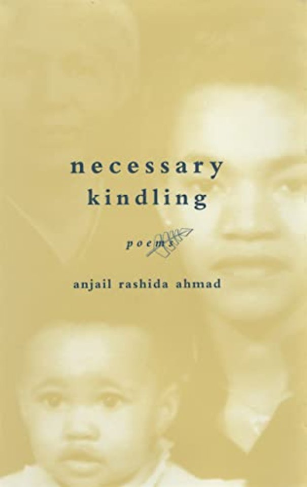 necessary kindling – poems