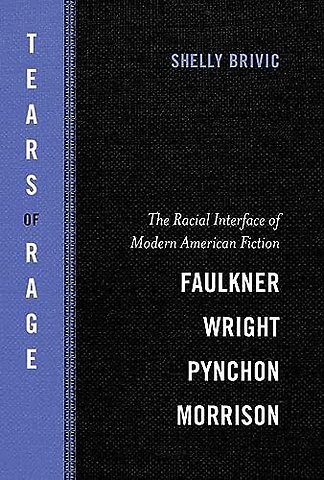 Tears of Rage – The Racial Interface of Modern American Fiction–Faulkner, Wright, Pynchon, Morrison
