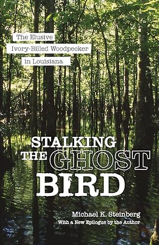 Stalking the Ghost Bird – The Elusive Ivory–Billed Woodpecker in Louisiana