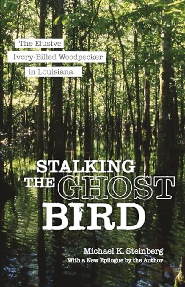 Stalking the Ghost Bird – The Elusive Ivory–Billed Woodpecker in Louisiana