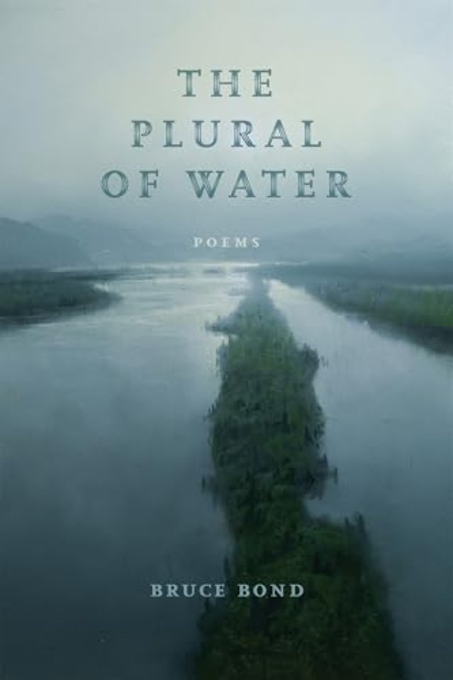The Plural of Water – Poems