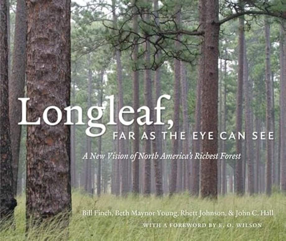 Longleaf, Far as the Eye Can See – A New Vision of North America`s Richest Forest