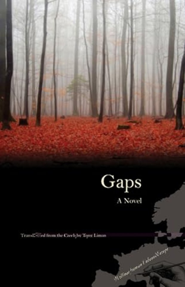 Gaps – A Novel