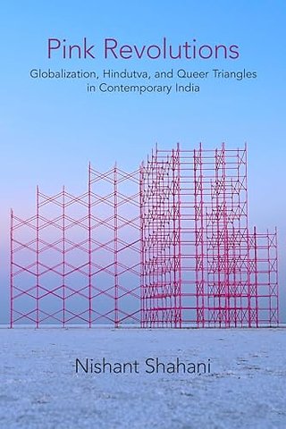Pink Revolutions – Globalization, Hindutva, and Queer Triangles in Contemporary India