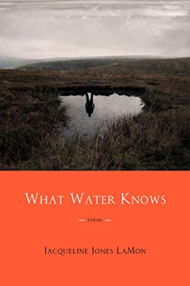 What Water Knows – Poems