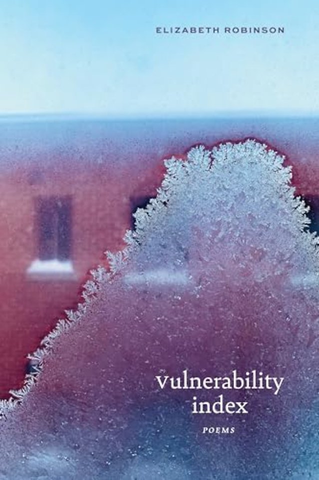 Vulnerability Index – Poems