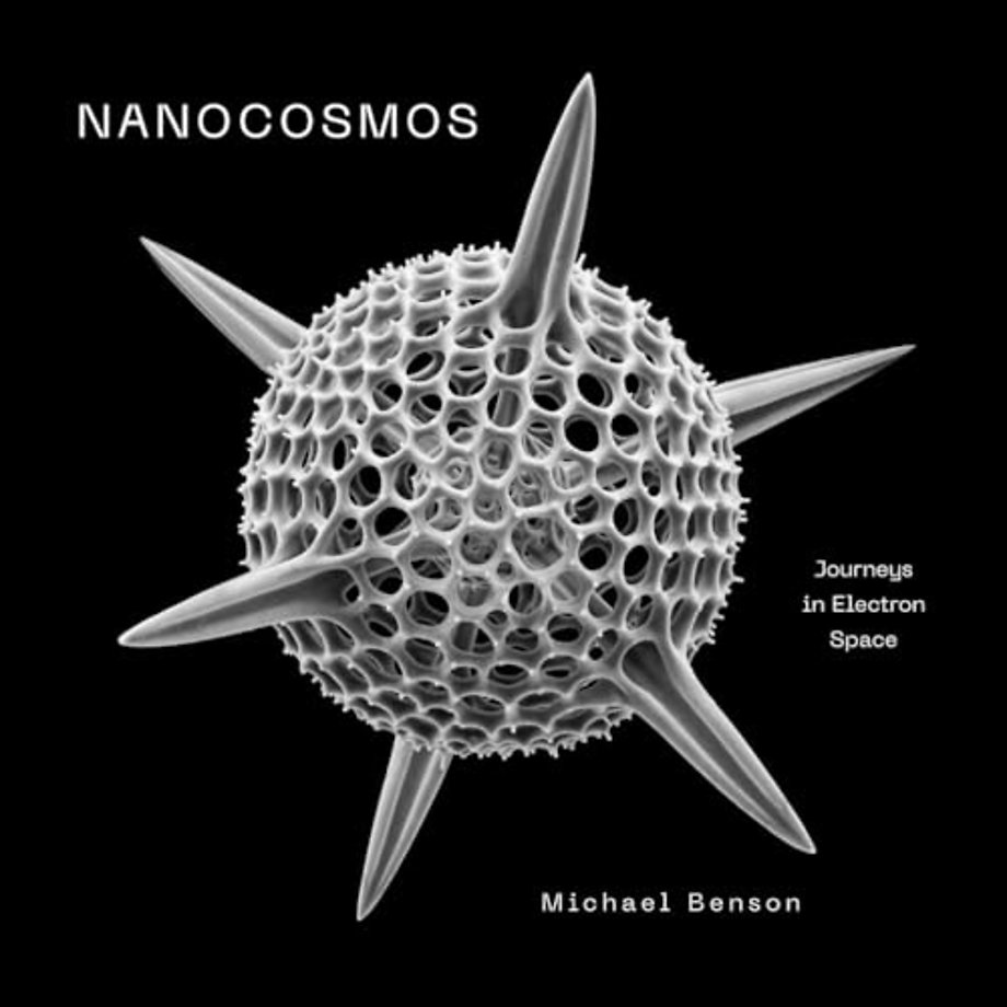 Nanocosmos
