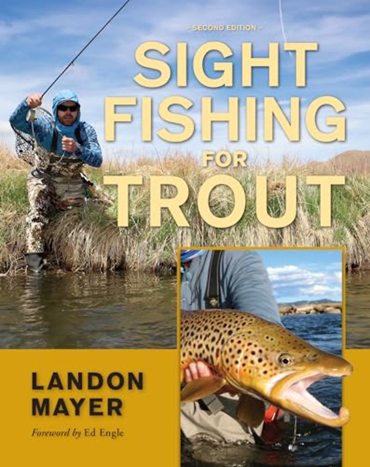 Sight Fishing for Trout