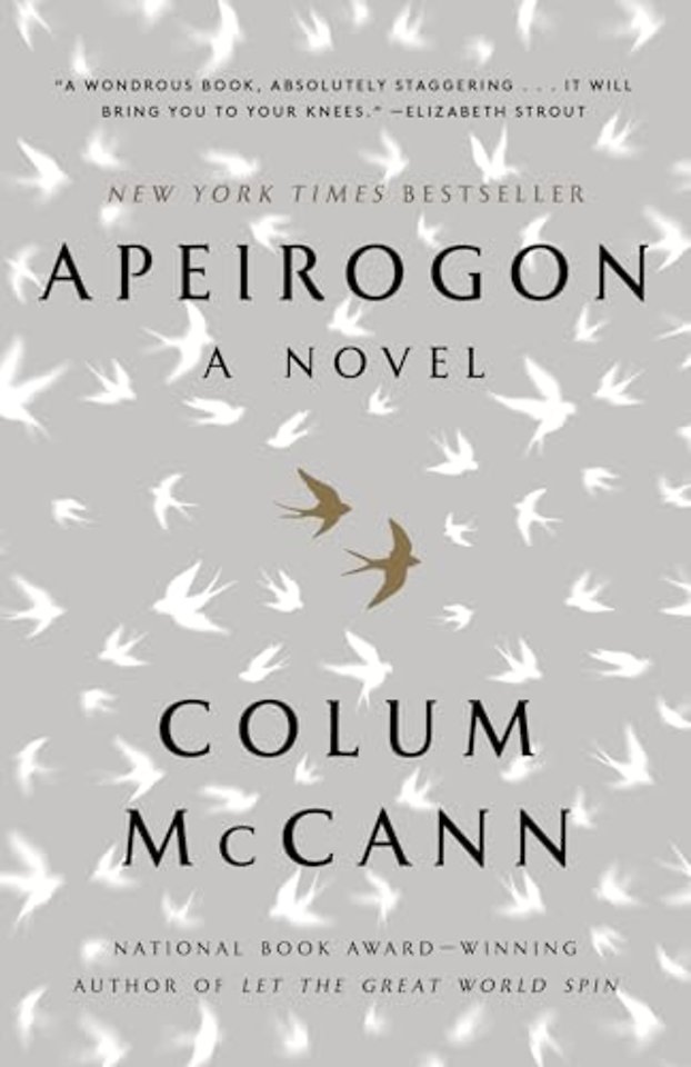 Apeirogon: A Novel