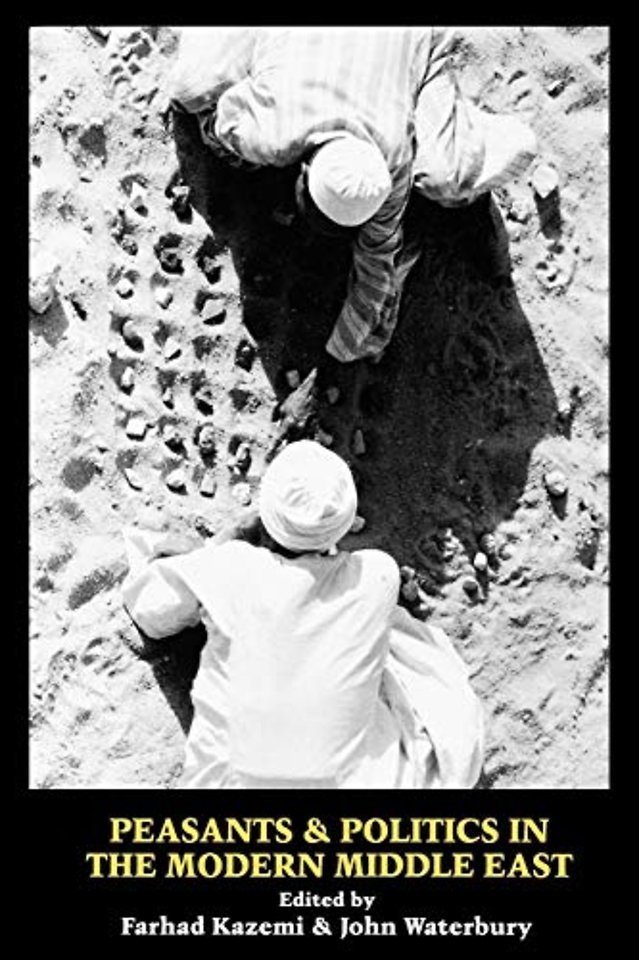 Peasants and Politics in the Modern Middle East