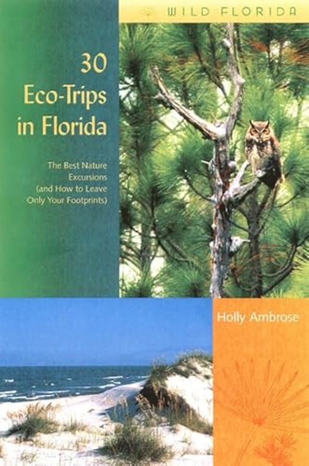 30 EcoTrips in Florida – The Best Nature Excursions (and How to Leave Only Your Footprints)
