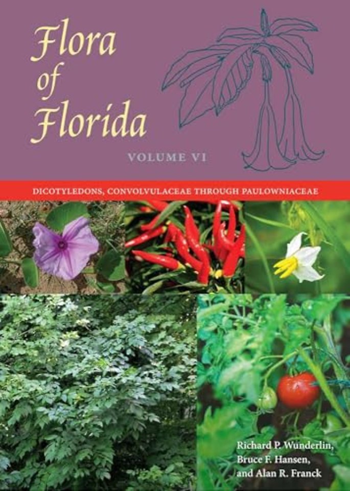 Flora of Florida, Volume VI – Dicotyledons, Convolvulaceae Through Paulowniaceae