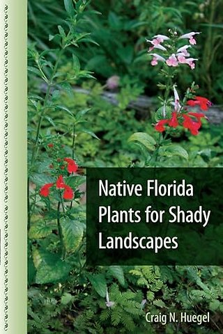 Native Florida Plants for Shady Landscapes
