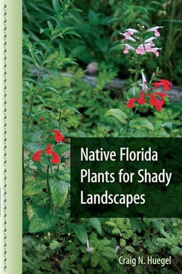 Native Florida Plants for Shady Landscapes