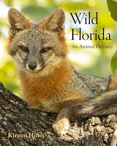 Wild Florida – An Animal Odyssey