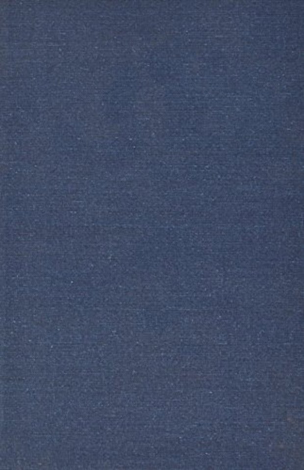 The Radical Sanation of Invalid Marriages