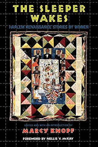 The Sleeper Wakes – Harlem Renaissance Stories by Women