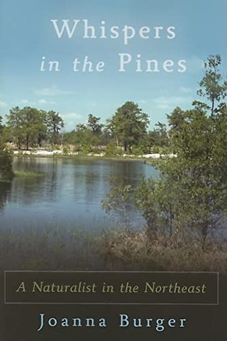 Whispers in the Pines – A Naturalist in the Northeast