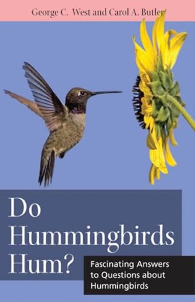 Do Hummingbirds Hum? – Fascinating Answers to Questions About Hummingbirds