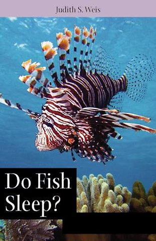 Do Fish Sleep? – Fascinating Answers to Questions About Fishes