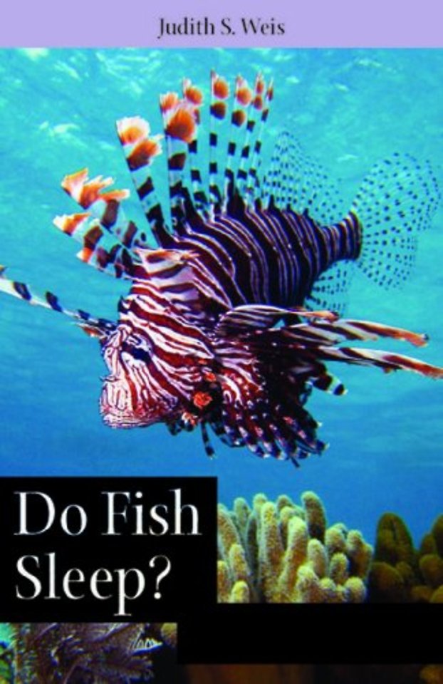 Do Fish Sleep? – Fascinating Answers to Questions About Fishes