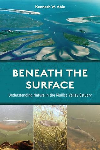 Beneath the Surface – Understanding Nature in the Mullica Valley Estuary