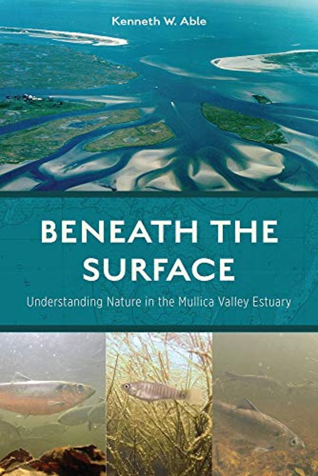 Beneath the Surface – Understanding Nature in the Mullica Valley Estuary