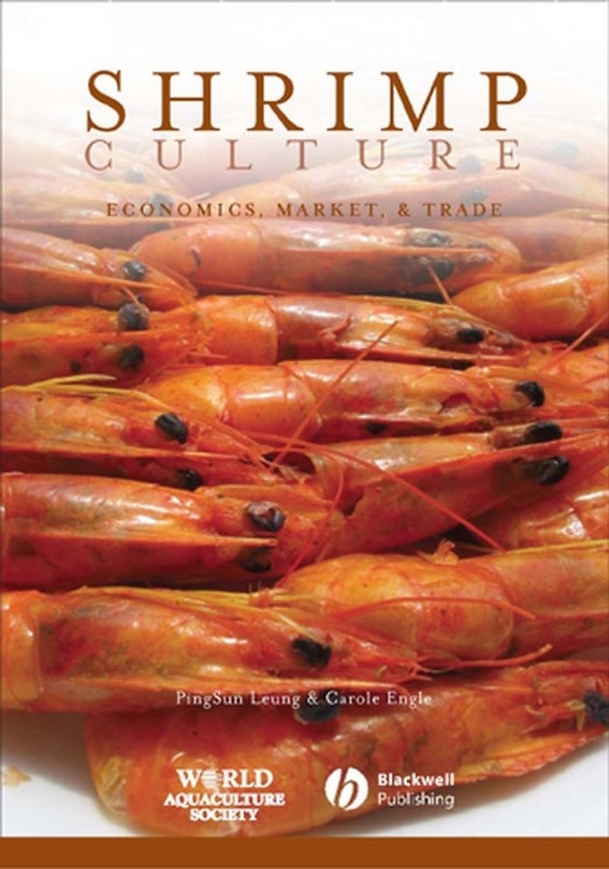 Shrimp Culture