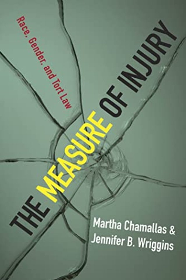 The Measure of Injury – Race, Gender, and Tort Law
