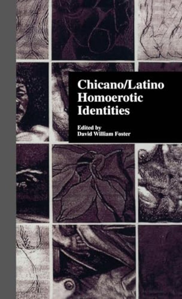 Chicano/Latino Homoerotic Identities