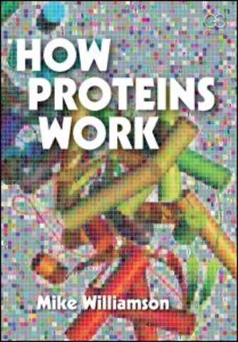 How Proteins Work