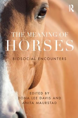 Meaning of Horses