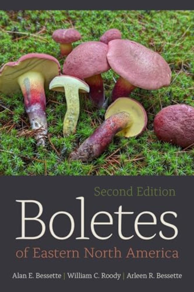 Boletes of Eastern North America