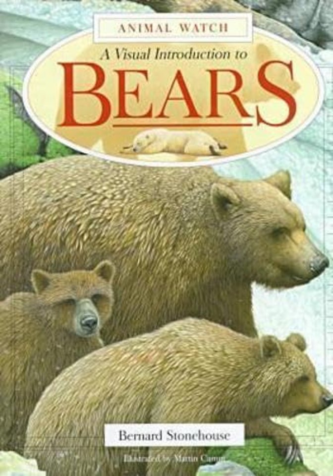 Bears – A Visual Introduction to Bears