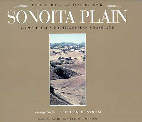 Sonoita Plain