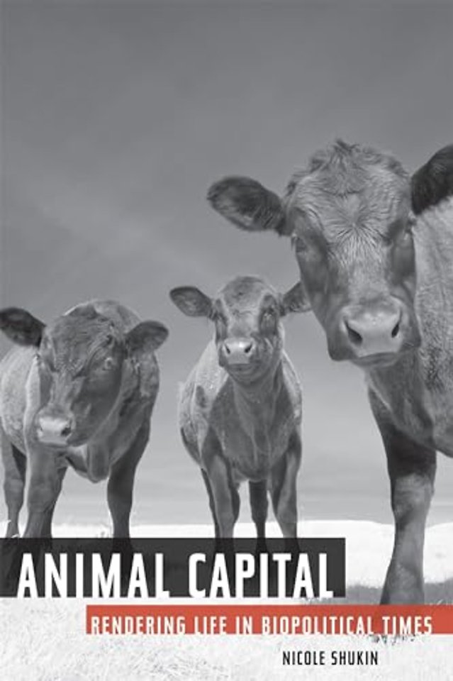 Animal Capital – Rendering Life in Biopolitical Times