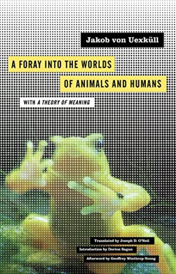 A Foray Into the Worlds of Animals and Humans