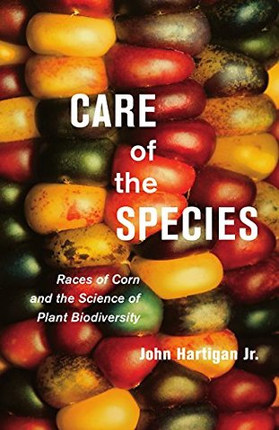Care of the Species – Races of Corn and the Science of Plant Biodiversity