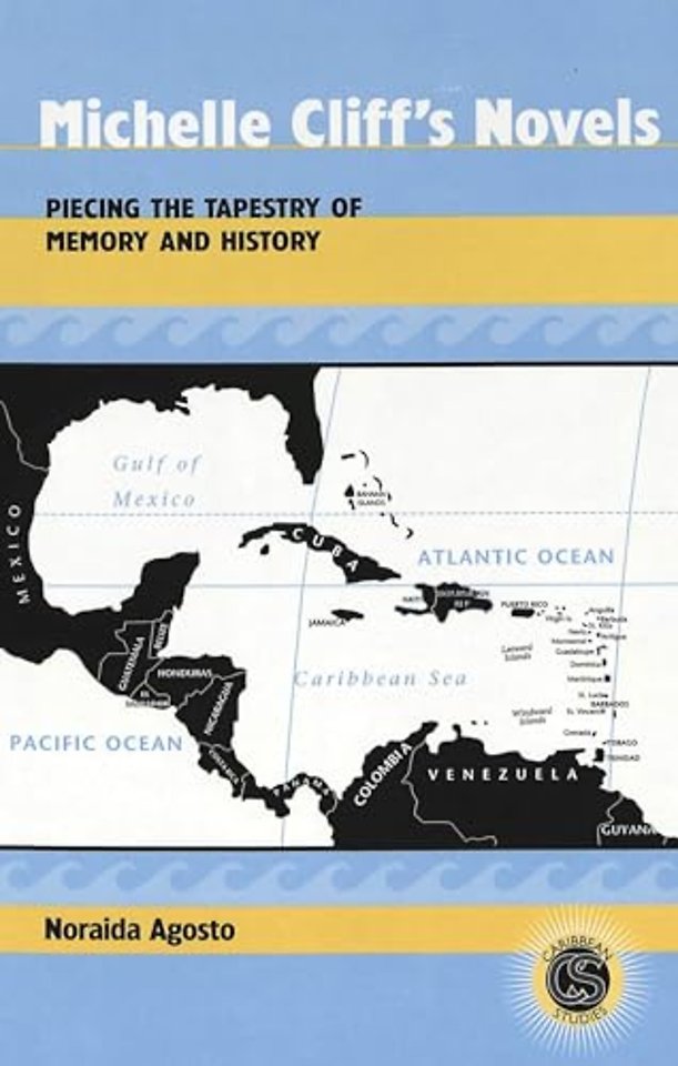 Michelle Cliff's Novels