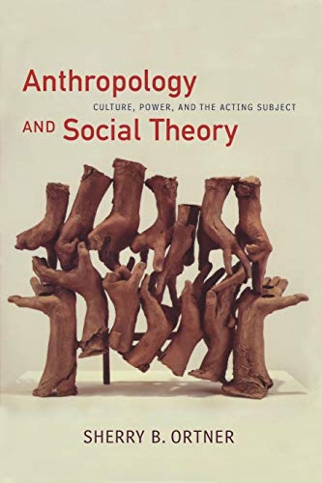 Anthropology and Social Theory – Culture, Power, and the Acting Subject