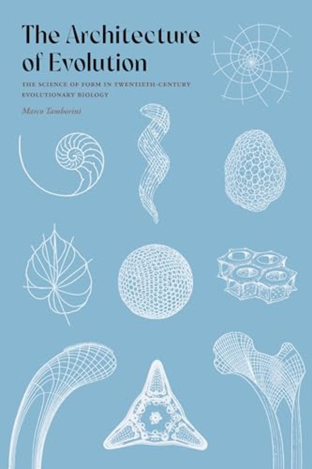 The Architecture of Evolution – The Science of Form in Twentieth–Century Evolutionary Biology