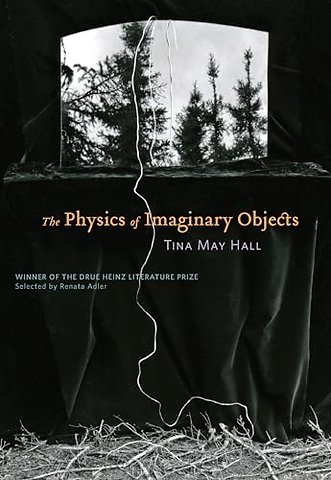 The Physics of Imaginary Objects